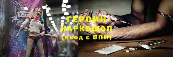 гидра Ельня