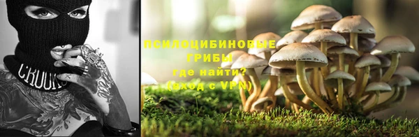 МДПВ Елабуга