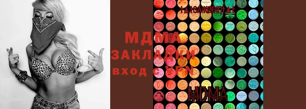 гидра Ельня