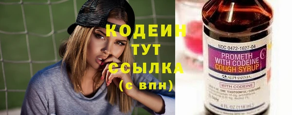 гидра Ельня