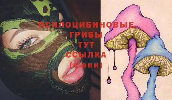 прущая мука Елизово