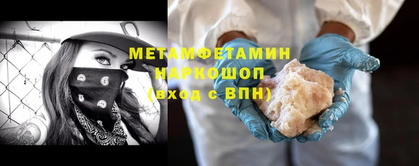 гидра Ельня