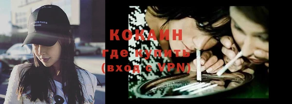 гидра Ельня