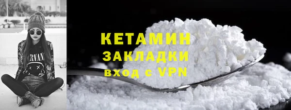 гидра Ельня