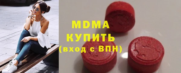 гидра Ельня
