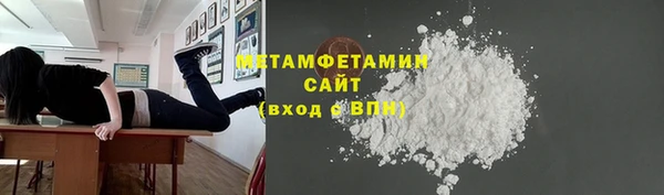 гидра Ельня