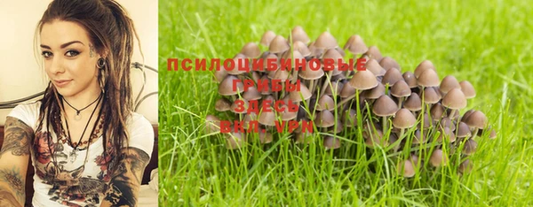 прущая мука Елизово