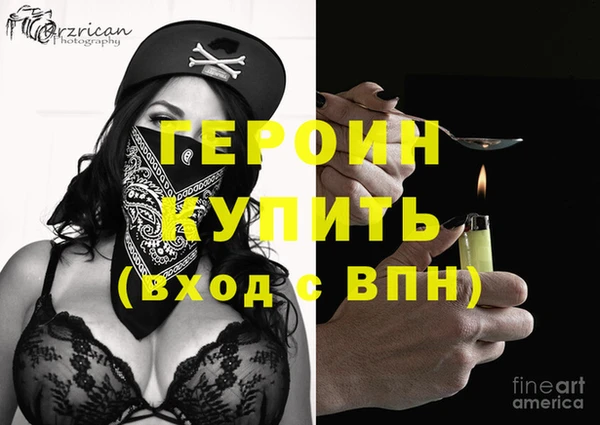 гидра Ельня