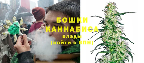 гидра Ельня