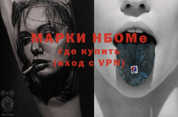 гидра Ельня
