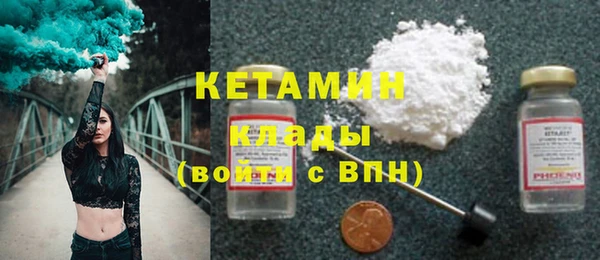 гидра Ельня