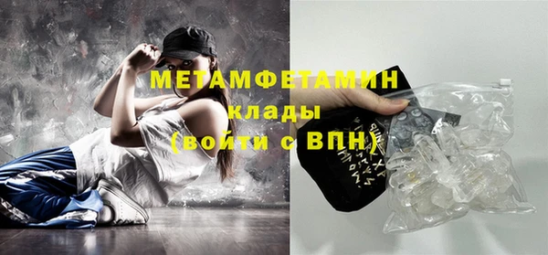 гидра Ельня