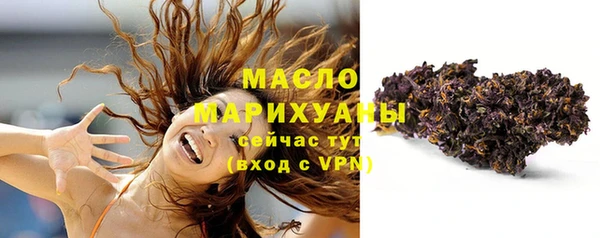 гидра Ельня