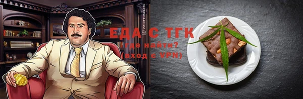 гидра Ельня