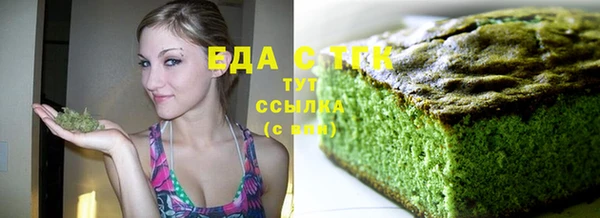 гидра Ельня