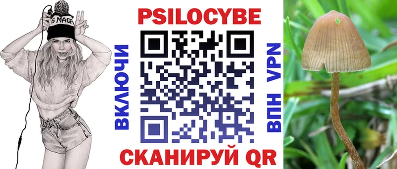 Галлюциногенные грибы ЛСД где купить наркоту Карачев