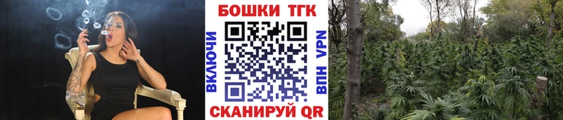 Конопля тримм MEGA ссылка Карачев закладки